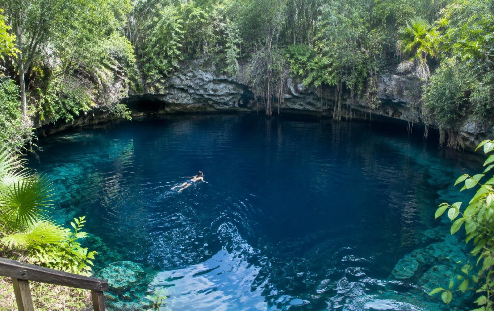 Bacalar