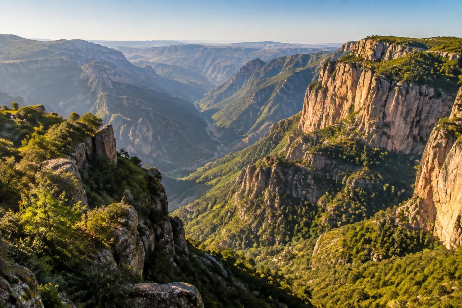 Hikers' view over the deep forested gorges of the Copper Canyon
